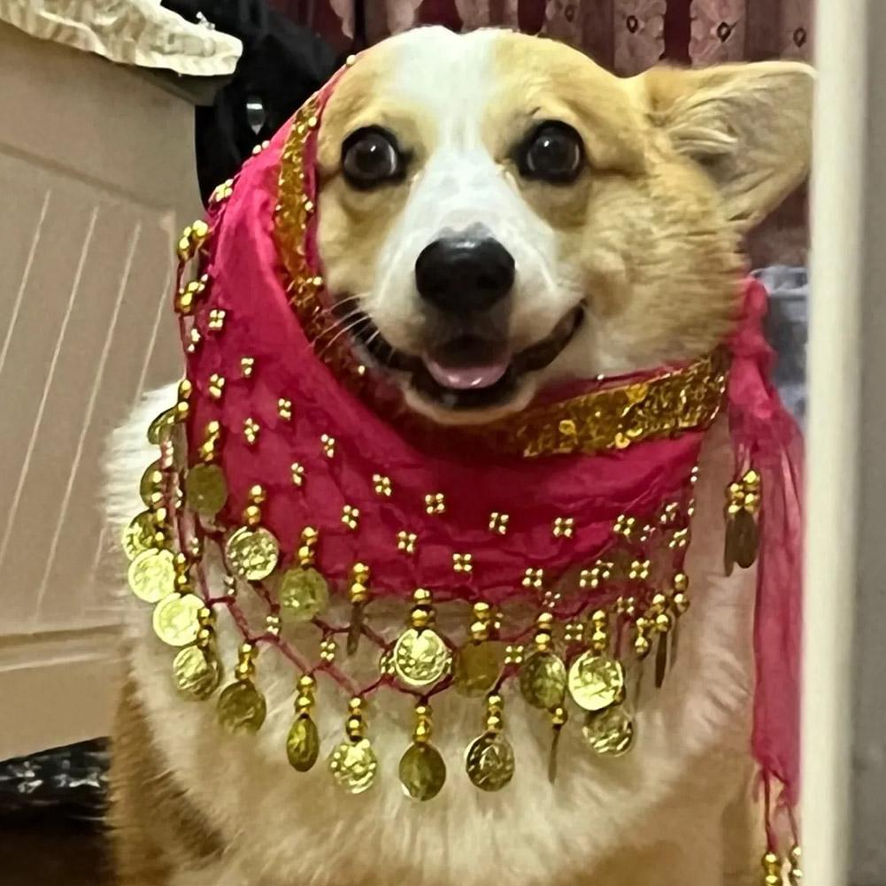 Dog Booty Shake Dance Booty To - огляд і ціна Printed Wrap Skirt
