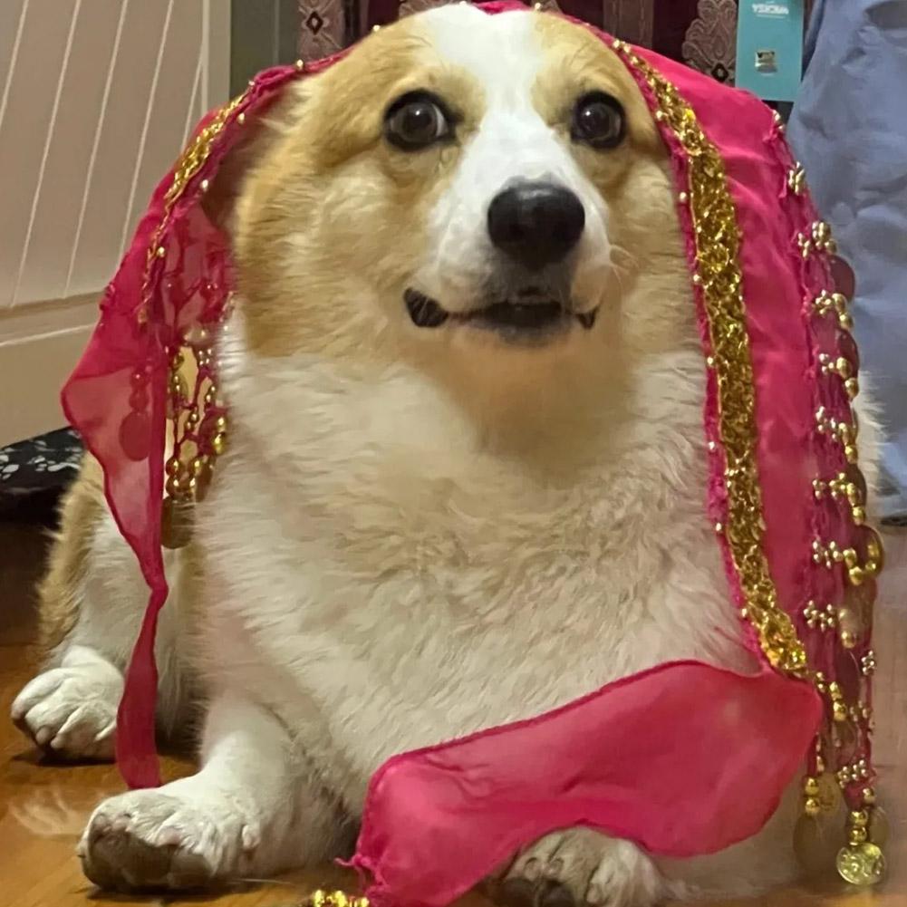 Dog Booty Shake Dance Booty To - огляд і ціна Printed Wrap Skirt